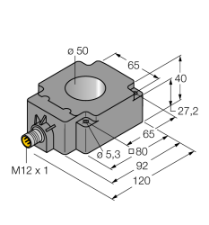 Кольцевой датчик TURCK BI50R-Q80-2LU-H1141/S950 - BI50R-Q80-2LU-H1141/S950